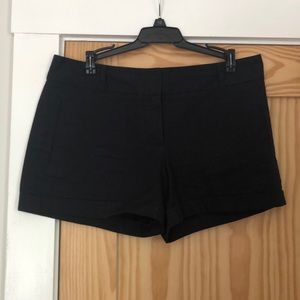 Loft Navy Blue Shorts, Medium